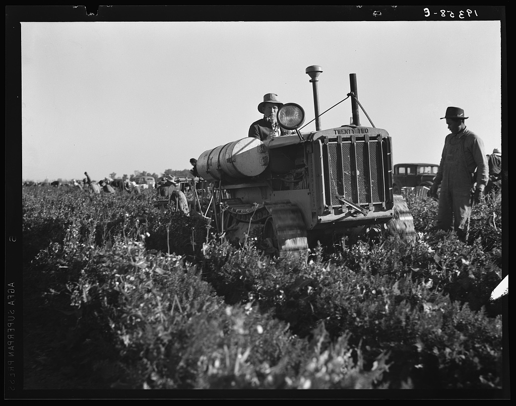 Itinerants near the tracks, Calipatria area